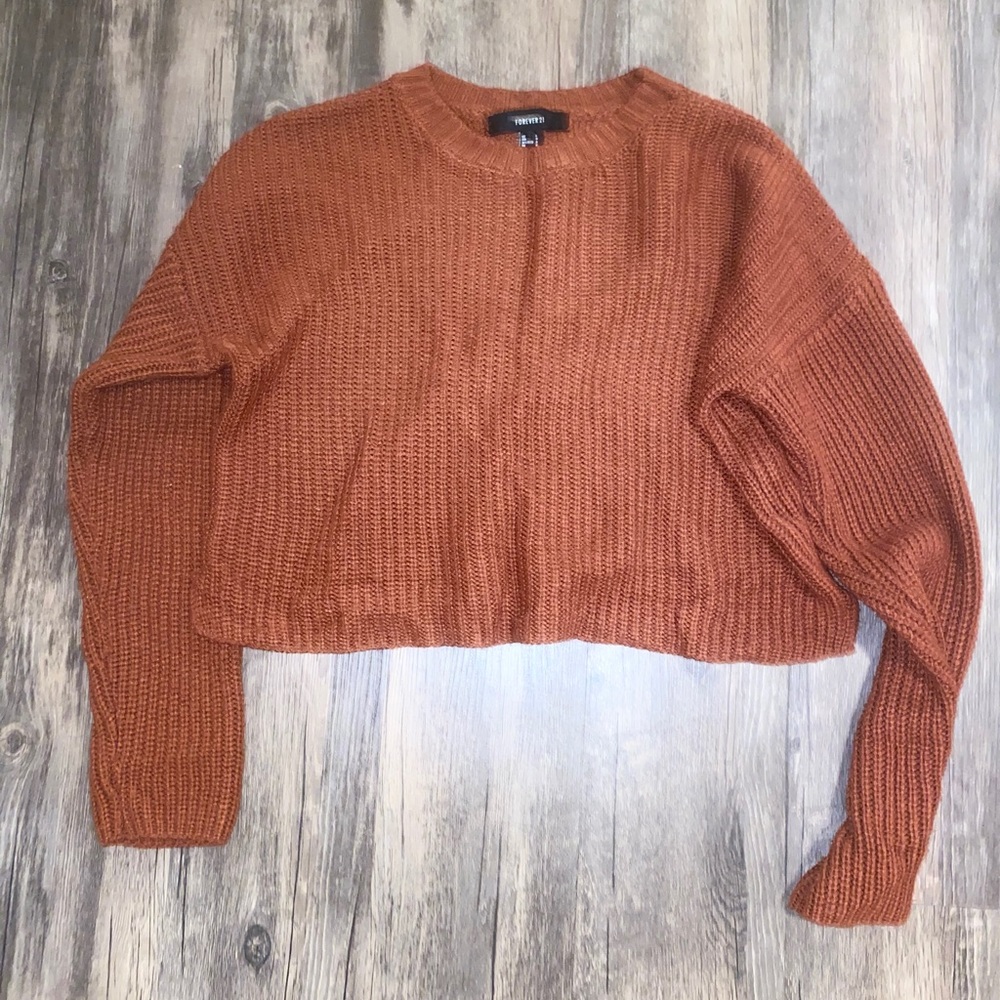 Forever 21 Rust Cropped Knit Sweater